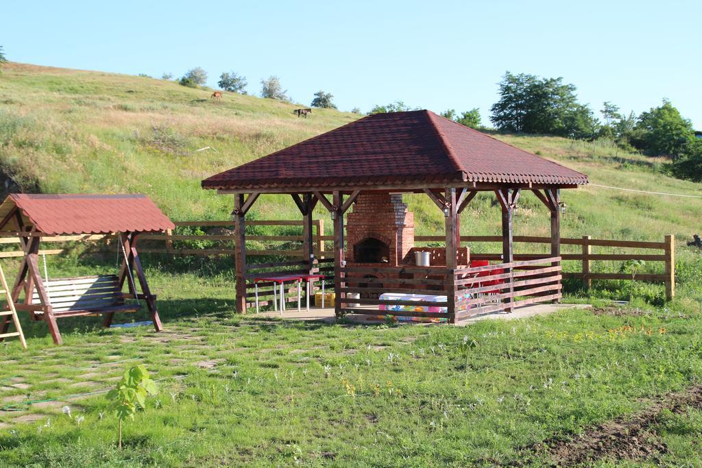 Pensiunea Fery Slobozia-Oancea Екстериор снимка